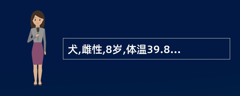 犬,雌性,8岁,体温39.8℃,精神差,无食欲,近两天下腹部略微增大,频频作排尿