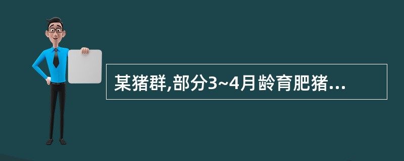 某猪群,部分3~4月龄育肥猪出现消瘦、顽固性腹泻,用抗生素治疗效果不佳,剖检死亡