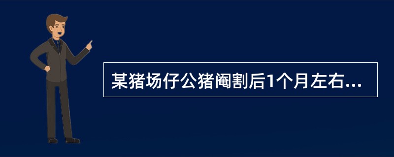 某猪场仔公猪阉割后1个月左右发病,病猪体温正常,主要表现两耳竖立,全身肌肉痉挛强