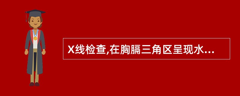 X线检查,在胸膈三角区呈现水平的浓密阴影,胸部下部叩诊呈水平浊音,以此可初步诊断