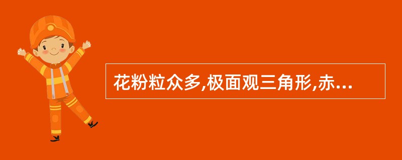 花粉粒众多,极面观三角形,赤道面观双凸镜形,具3副合沟的药材是( )。A、蒲黄B