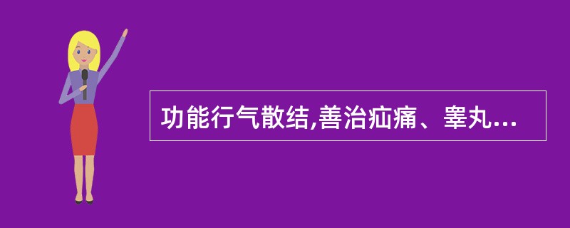 功能行气散结,善治疝痛、睾丸肿痛的药物是( )A、夏枯草B、荔枝核C、乌药D、黄