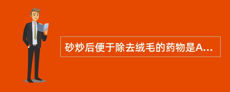 砂炒后便于除去绒毛的药物是A、马钱子B、鸡内金C、石韦D、枇杷叶E、金樱子 -