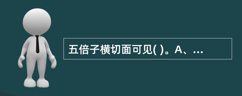 五倍子横切面可见( )。A、油细胞B、树脂腔C、树脂道D、油室E、油管