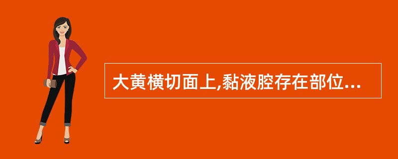 大黄横切面上,黏液腔存在部位是A、皮层B、韧皮部C、木栓层D、木质部E、髓部 -