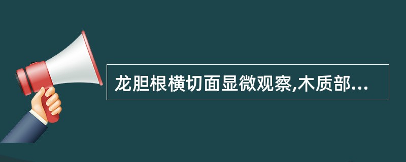 龙胆根横切面显微观察,木质部导管排成A、放射状,可见髓部B、放射状,可见初生木质