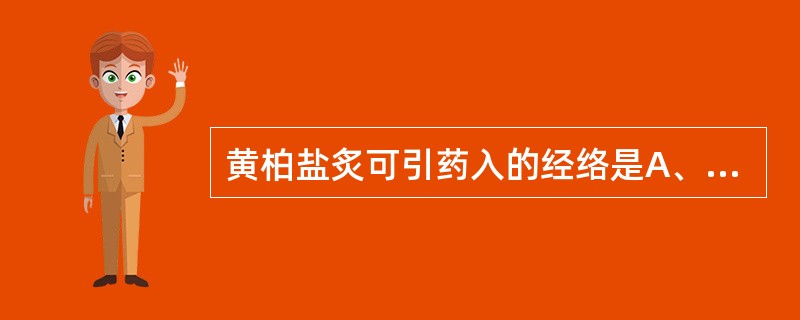 黄柏盐炙可引药入的经络是A、肾经B、脾经C、心经D、肝经E、肺经