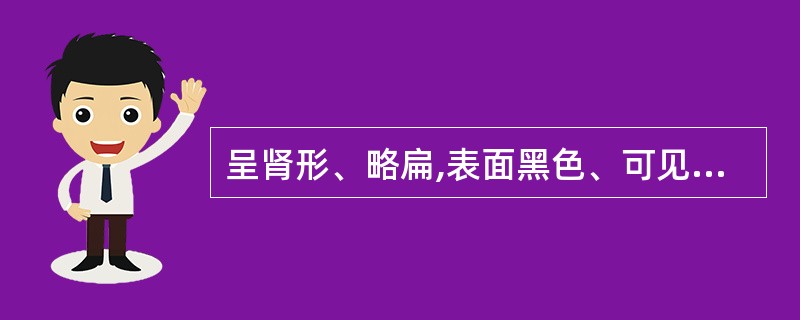 呈肾形、略扁,表面黑色、可见细微网状皱纹的果实类药材是A、枸杞子B、牵牛子C、牛