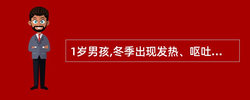 1岁男孩,冬季出现发热、呕吐、腹泻3天,体温38℃,每天腹泻10次左右,大便呈蛋