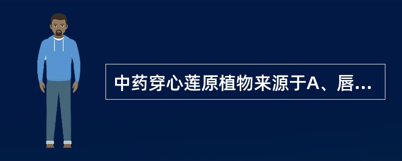 中药穿心莲原植物来源于A、唇形科B、爵床科C、马鞭草科D、桃金娘科E、十字花科