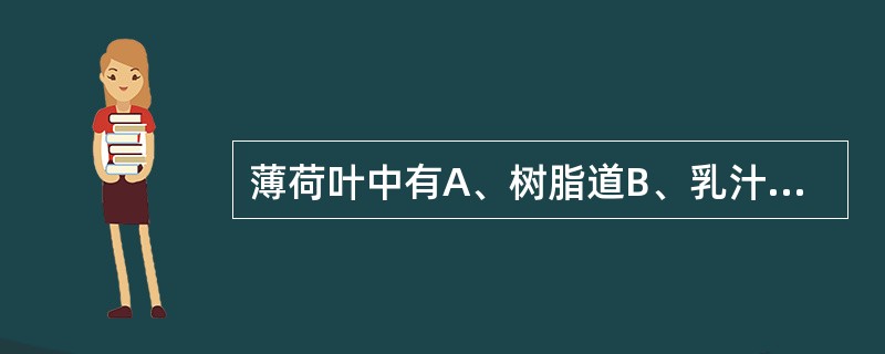 薄荷叶中有A、树脂道B、乳汁管C、硅质块D、腺鳞E、钟乳体