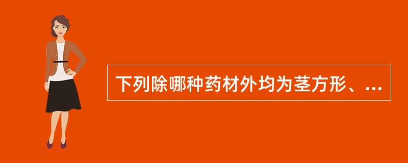 下列除哪种药材外均为茎方形、叶对生A、广藿香B、金钱草C、穿心莲D、益母草E、薄