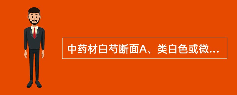 中药材白芍断面A、类白色或微红色、角质样B、类白色或微红色、粉性C、紫红色、有时