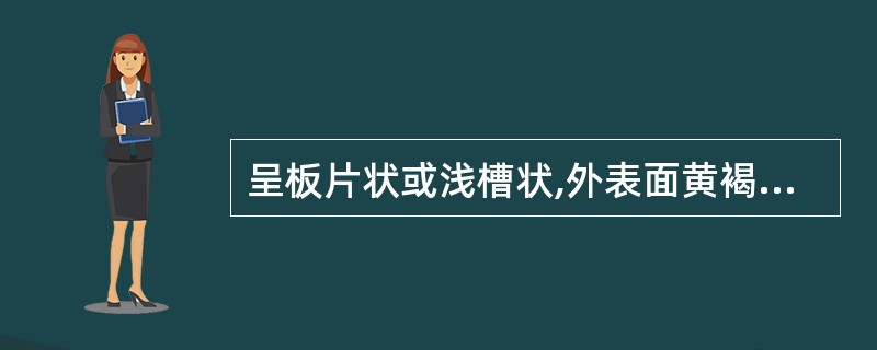 呈板片状或浅槽状,外表面黄褐色或黄棕色,内表面暗黄色或淡棕黄色。断面深黄色,纤维