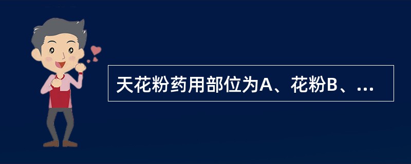 天花粉药用部位为A、花粉B、花蕾C、根D、果实E、种子