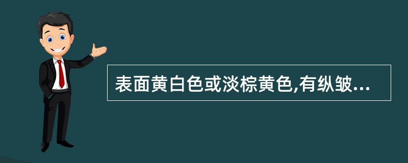 表面黄白色或淡棕黄色,有纵皱纹、细根痕及略凹陷的横长皮孔,质坚实,断面类白色,富