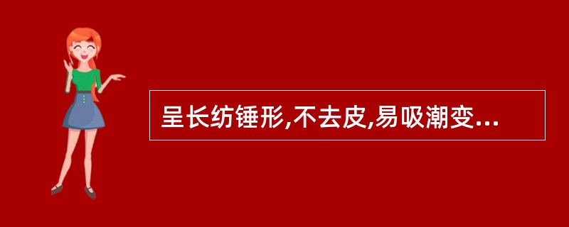 呈长纺锤形,不去皮,易吸潮变软,断面角质、中柱扁缩的药材是A、麦冬B、天冬C、续