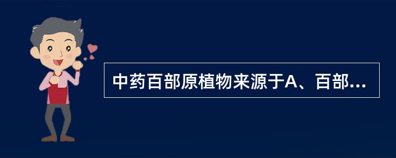 中药百部原植物来源于A、百部科B、百合科C、薯蓣科D、鸢尾科E、禾本科