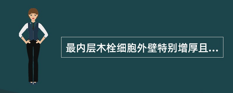 最内层木栓细胞外壁特别增厚且木化的药材是A、牡丹皮B、厚朴C、肉桂D、杜仲E、秦