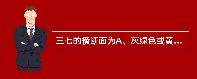 三七的横断面为A、灰绿色或黄绿色,有棕色树脂道点B、黄绿色,有红色油室点C、黄棕