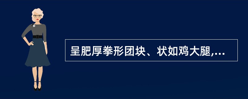 呈肥厚拳形团块、状如鸡大腿,表面可见瘤状突起的药材是A、川芎B、玄参C、白术D、