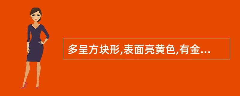 多呈方块形,表面亮黄色,有金属光泽,立方体相邻晶面上条纹互相垂直,条痕绿黑色或棕