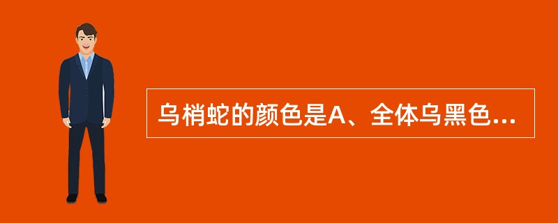 乌梢蛇的颜色是A、全体乌黑色,背部有白色斑点B、全体灰白色,尾部乌黑色C、全体绿