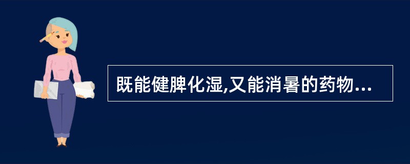 既能健脾化湿,又能消暑的药物是( )A、白术B、苍术C、扁豆D、滑石E、薏苡仁