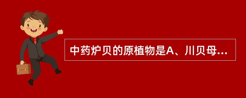 中药炉贝的原植物是A、川贝母B、浙贝母C、暗紫贝母D、甘肃贝母E、梭砂贝母 -