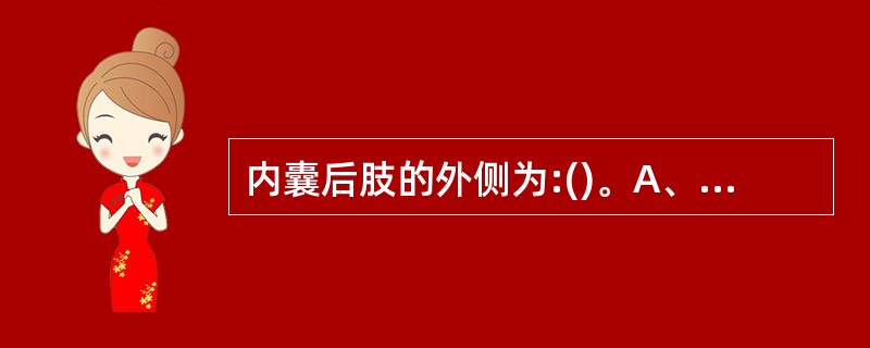 内囊后肢的外侧为:()。A、尾状核B、尾状核尾C、丘脑D、间脑E、豆状核