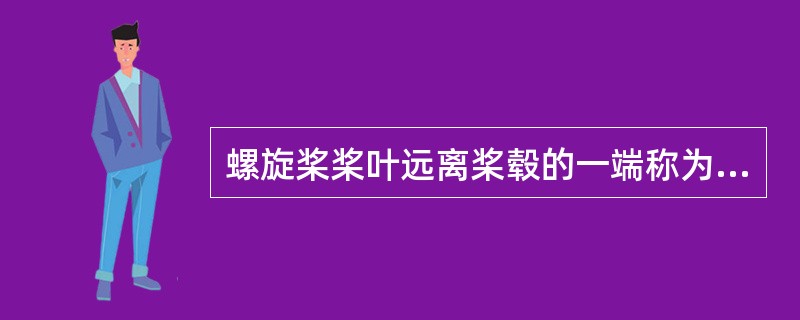 螺旋桨桨叶远离桨毂的一端称为( )。