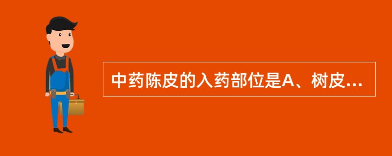 中药陈皮的入药部位是A、树皮B、种皮C、外果皮D、中果皮E、内果皮