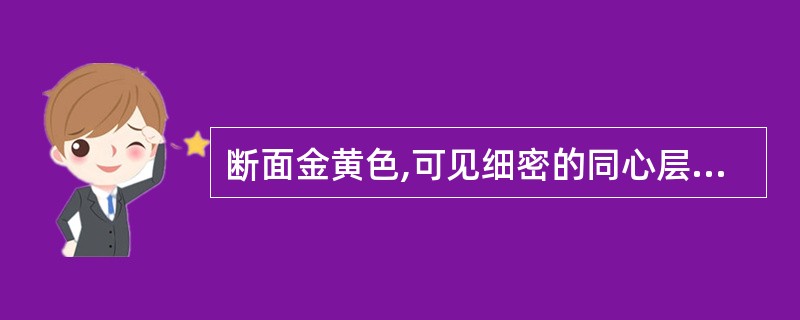 断面金黄色,可见细密的同心层纹的药材是( )。A、麝香B、鹿茸C、牛黄D、僵蚕E