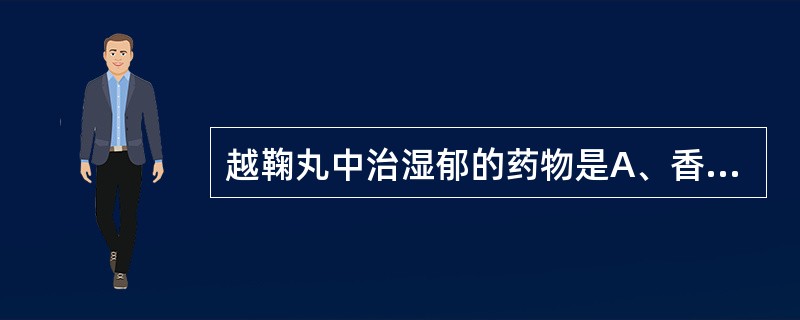 越鞠丸中治湿郁的药物是A、香附B、川芎C、苍术D、神曲E、栀子