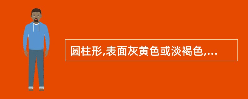 圆柱形,表面灰黄色或淡褐色,质硬而韧,断面皮部黄白色,纤维性并显粉性,味微甜的药