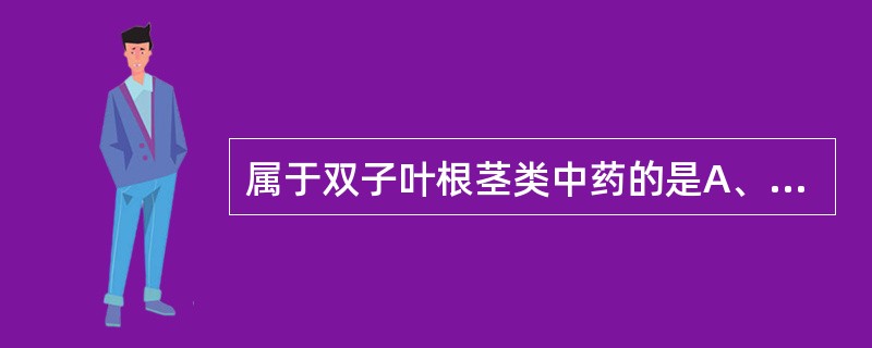 属于双子叶根茎类中药的是A、黄芩B、黄连C、黄柏D、黄芪E、天麻