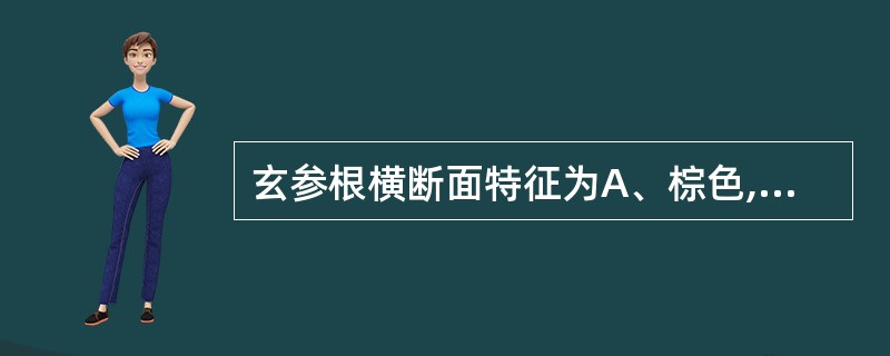 玄参根横断面特征为A、棕色,粉性B、黄色,角质性C、黑色,粉性D、黑色,微有光泽