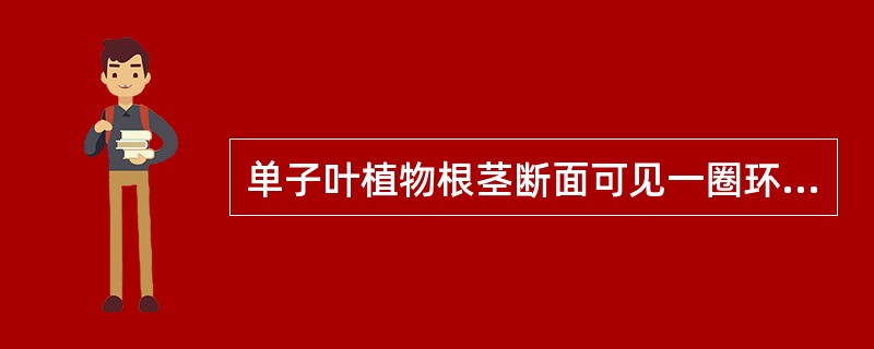 单子叶植物根茎断面可见一圈环纹为A、内皮层B、石细胞环带C、木质部D、形成层E、