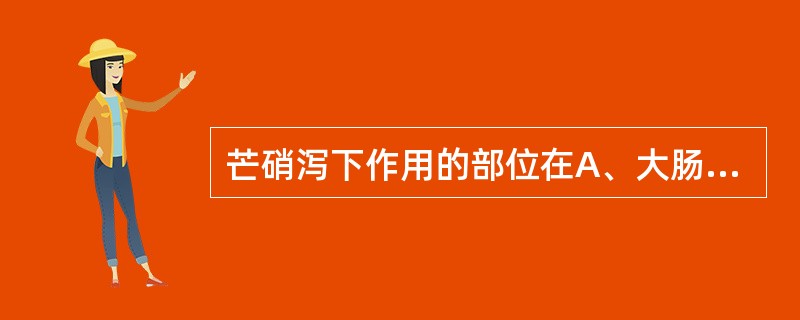 芒硝泻下作用的部位在A、大肠B、回肠C、空肠D、全肠管E、直肠