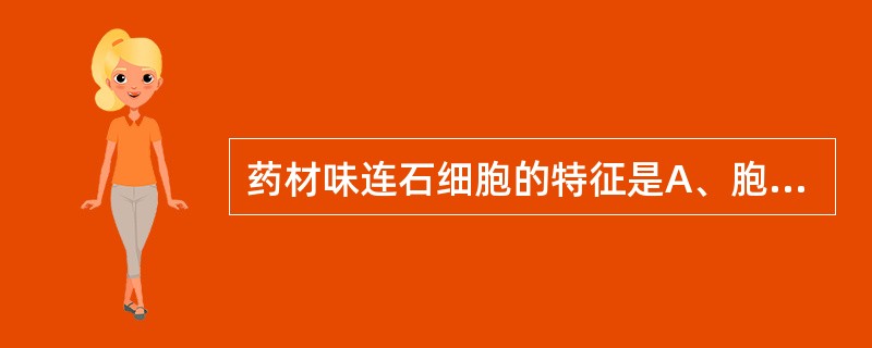 药材味连石细胞的特征是A、胞腔内含橡胶丝B、分枝状,层纹不明显C、胞腔内含草酸钙