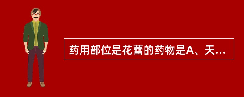 药用部位是花蕾的药物是A、天花粉B、香薷C、丁香D、小茴香E、荜茇