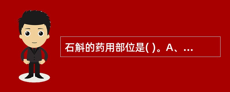 石斛的药用部位是( )。A、根B、根茎C、茎D、鳞茎E、块茎