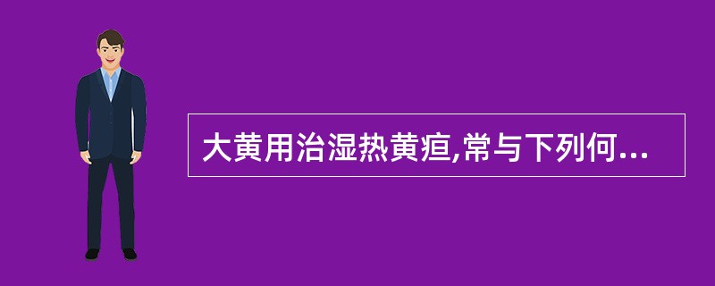 大黄用治湿热黄疸,常与下列何药配伍A、芒硝B、苍耳子C、牛蒡子D、栀子E、附子
