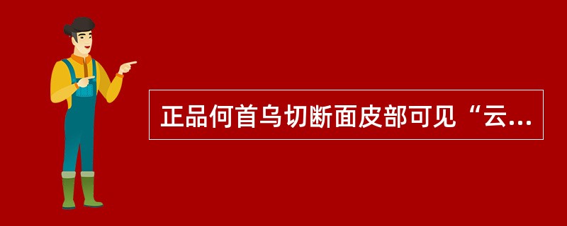 正品何首乌切断面皮部可见“云锦状花纹”A、2~4个B、3~8个C、4~11个D、