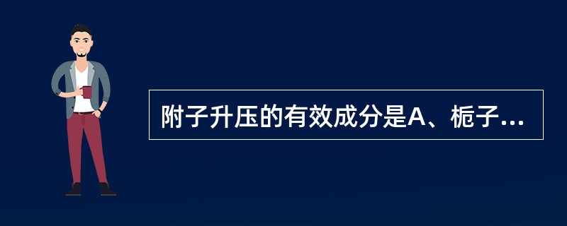 附子升压的有效成分是A、栀子苷B、去甲乌药碱C、附子多糖D、去甲猪毛菜碱E、麻黄