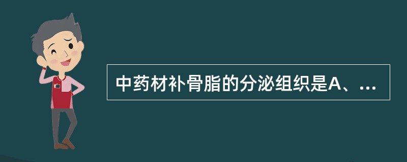 中药材补骨脂的分泌组织是A、树脂腔B、树脂道C、壁内腺D、间隙腺毛E、分泌细胞