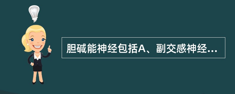 胆碱能神经包括A、副交感神经的节前和节后纤维B、交感神经的节前纤维C、支配汗腺分