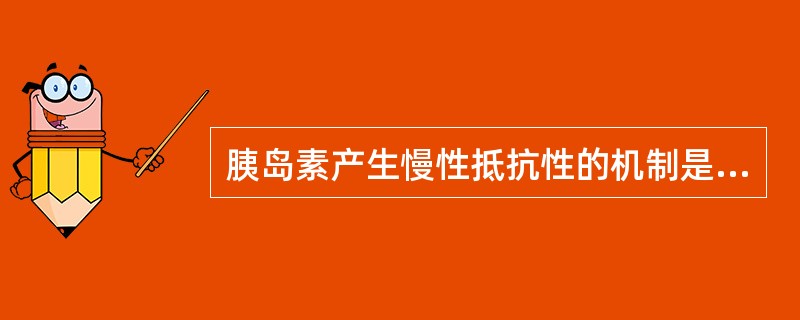 胰岛素产生慢性抵抗性的机制是A、体内产生了胰岛素抗体B、肝脏胰岛素酶活性减弱C、