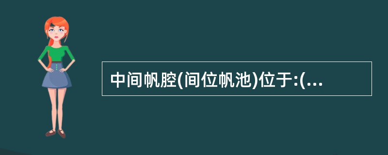 中间帆腔(间位帆池)位于:()。A、侧脑室体顶部B、侧脑体外侧壁与尾状核体部之间