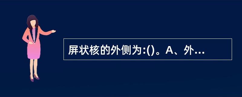 屏状核的外侧为:()。A、外囊B、最外囊C、岛叶D、苍白球E、尾状核体